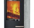 E Fireplace Store Fresh Kaminofen Termatech Tt20rs Speckstein Mit sockel Schwarz 5 Kw