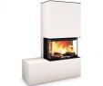 E Fireplace Store Luxury Kaminbausatz Neocube P23 Jetzt Entdecken