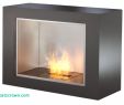 Eco Fireplace Awesome Elegant Eco Fireplace Best Home Improvement