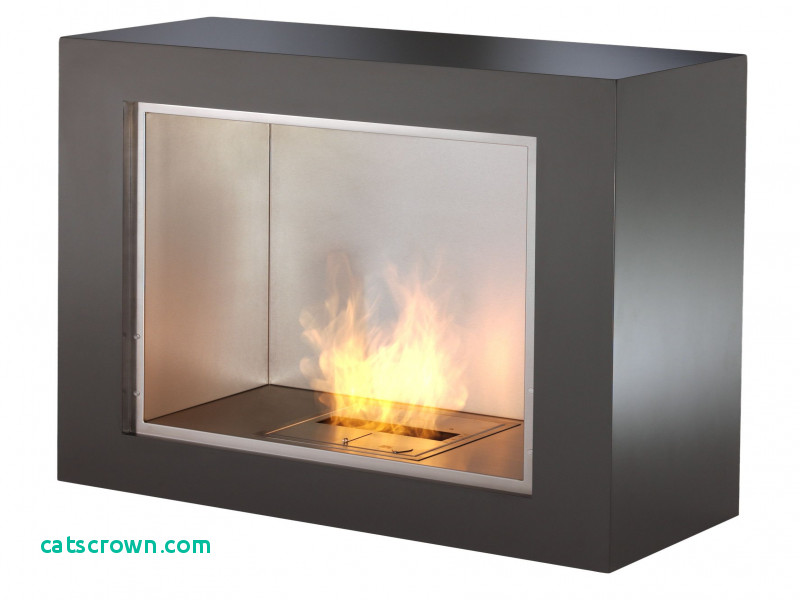 Eco Fireplace Awesome Elegant Eco Fireplace Best Home Improvement