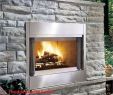 Efficient Fireplace Inserts New Luxury Fireplace Blower Kit for Wood Burning Fireplace