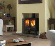 Efficient Fireplace Inspirational Beautiful Efficient and Clean Burning the Dimplex