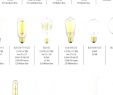 Electric Fireplace Bulbs Elegant Type A Light Bulb – Creatorstudio