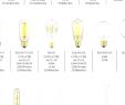 Electric Fireplace Bulbs Elegant Type A Light Bulb – Creatorstudio