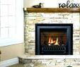 Electric Fireplace Corner Unit Best Of Gas Fireplace Unit Fireplace Design Ideas