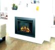 Electric Fireplace Heater Home Depot Luxury Fire Logs Home Depot Gas Log Fireplace Kit Blower Log