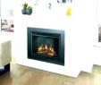 Electric Fireplace Heater Home Depot Luxury Fire Logs Home Depot Gas Log Fireplace Kit Blower Log