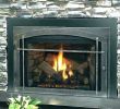 Electric Fireplace Heater Home Depot Luxury Home Depot Fireplace Heaters – Customclean