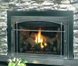 Electric Fireplace Heater Home Depot Luxury Home Depot Fireplace Heaters – Customclean