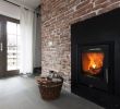 Electric Fireplace Insert Reviews Unique Best Fireplace Inserts Reviews 2019 – Gas Wood Electric