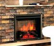 Electric Fireplace Inserts with Blowers Best Of Modern Wood Burning Fireplace Inserts Fireplaces