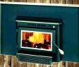 Electric Fireplace Inserts with Blowers Unique Buck Fireplace Insert – Petgeek