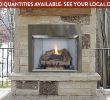 Electric Fireplace Logs Inserts Elegant Valiant Od