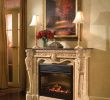 Electric Fireplace Surround Beautiful Floral Electric Fireplace Ambella Home