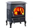Electric Freestanding Fireplace Awesome 2019 Hiflame Appaloosa Hf717ua Freestanding Cast Iron Medium 1 800 Sq Feet Indoor Usage Wood Stove Paint Black From Hiflame $869 35