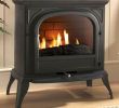 Electric Gas Fireplace Luxury Ekofires 6010 Flueless Gas Stove Home