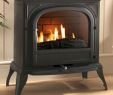 Electric Gas Fireplace Luxury Ekofires 6010 Flueless Gas Stove Home