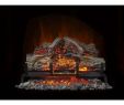 Electric Logs Heater for Fireplace Awesome 24 In Electric Log Set with Remote Control