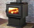 Extra Large Wood Burning Fireplace Inserts Beautiful Large Wood Burning Stove – Plum Sage Tea