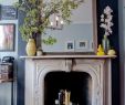 Extrodinair Fireplace Best Of Pin by Abigail Anne Jones On Interior Living