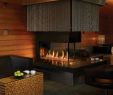 Extrodinair Fireplace Luxury Lisac S Fireplaces and Stoves Portland oregon