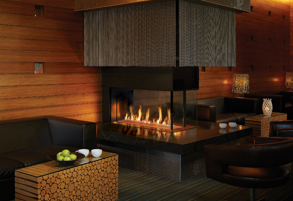 Extrodinair Fireplace Luxury Lisac S Fireplaces and Stoves Portland oregon