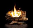 Fake Logs for Gas Fireplace Awesome American Elm 24 In Vent Free Propane Gas Fireplace Logs