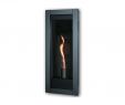 Fake Logs for Gas Fireplace Beautiful Napoleon Gvft8 Indoor torch 6000 Btu Vent Free Gas Fireplace