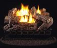 Fake Logs for Gas Fireplace Luxury 27 In Vent Free Propane Gas Log Set with Millivolt Control