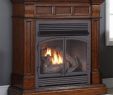 Fake Wood for Gas Fireplace New Duluth forge Vent Free Natural Gas Propane Fireplace