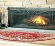 Fire Resistant Fireplace Rugs Luxury Fire Resistant Rugs Walmart – Zanmedia