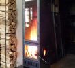 Fireplace Alternatives Luxury Pyrarium Stahl Preiswerte Alternative