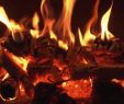 Fireplace App Inspirational ‎fireplace On Tv