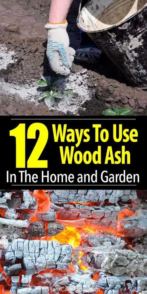 12 ways to use wood ash in the home and garden concept of wood ash in garden of wood ash in garden