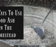 Fireplace ash Vacuum Luxury 20 Fresh Wood ash In Garden Concept Garden Ideas