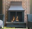 Fireplace Blower Inserts Beautiful 30 New Propane Fireplace Outdoor Sets