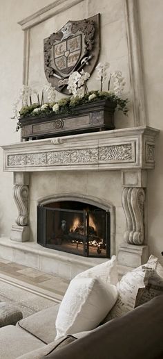 Fireplace Boise Elegant 957 Best Fireplace Surrounds Images In 2019
