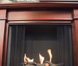 Fireplace Cage Fresh 5 Best Gel Fireplaces Reviews Of 2019 Bestadvisor