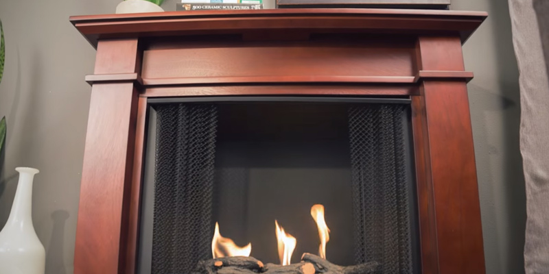 Fireplace Cage Fresh 5 Best Gel Fireplaces Reviews Of 2019 Bestadvisor