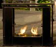 Fireplace Cage Fresh 5 Best Gel Fireplaces Reviews Of 2019 Bestadvisor