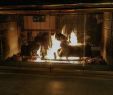 Fireplace Cage Luxury Blackstone Grill Birthday Club Bild Von Blackstone Grill