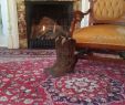 Fireplace Carpet Elegant Guest Boots Near the Crackling Fireplace Of the Washington