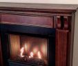 Fireplace Casing Awesome 5 Best Gel Fireplaces Reviews Of 2019 Bestadvisor