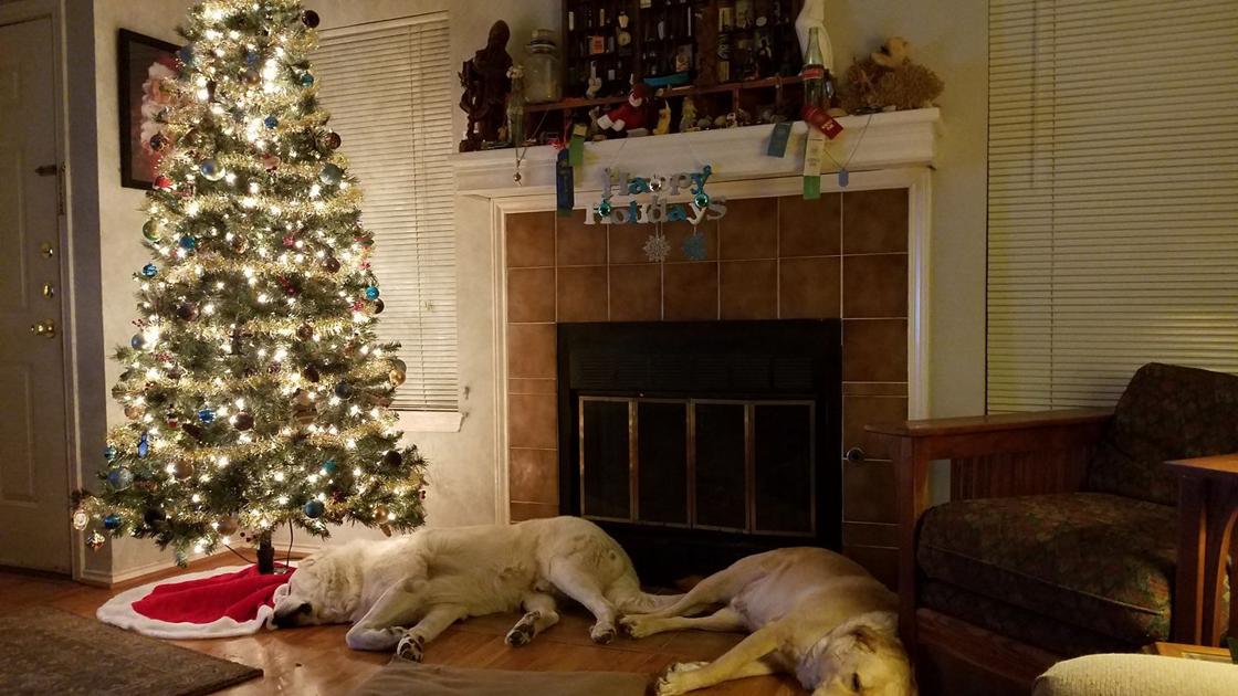 s Readers share their Billings area holiday 5a25cd11f197eage