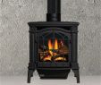 Fireplace Companies Near Me Unique Basic Black Gds25 Gas Stove Stove In 2019