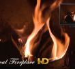 Fireplace Conversion Lovely Magical Fireplace Hd