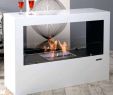 Fireplace Designs Elegant Vauni Vauni Shadow Ethanol Kamin Free Standing Bio Ethanol