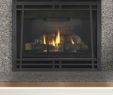 Fireplace Distributors Reno Best Of 36 Best Heatilator Fireplaces Images