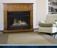 Fireplace Distributors Reno Inspirational 121 Best Ventless Fireplace Images