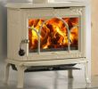 Fireplace Door Glass Awesome Jotul Door for F100 Ive Plete without Glass